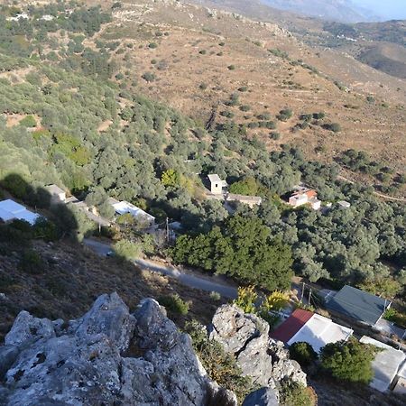 Garden Of Olive Trees Βίλα Asfendiles Εξωτερικό φωτογραφία