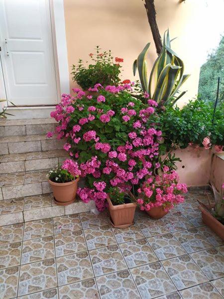 Garden Of Olive Trees Βίλα Asfendiles Εξωτερικό φωτογραφία